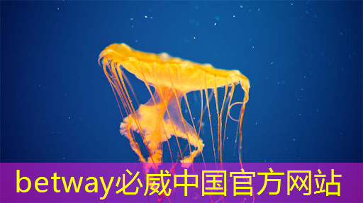 betway必威:工業互聯網運營團隊有哪些 betway必威:工業互聯網運營團隊有哪些