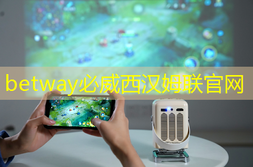 betway必威:人工智能物流系統(tǒng)設(shè)計(jì) betway必威:人工智能物流系統(tǒng)設(shè)計(jì)