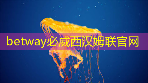 betway必威西漢姆聯(lián)官網(wǎng):智慧投影:如何利用智能手機(jī)控制投影儀來(lái)增加便利性? betway必威西漢姆聯(lián)官網(wǎng):智慧投影:如何利用智能手機(jī)控制投影儀來(lái)增加便利性?