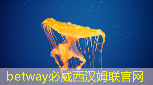 betway必威西漢姆聯(lián)官網(wǎng):數(shù)控加工中心工業(yè)互聯(lián)網(wǎng) betway必威西漢姆聯(lián)官網(wǎng):數(shù)控加工中心工業(yè)互聯(lián)網(wǎng)