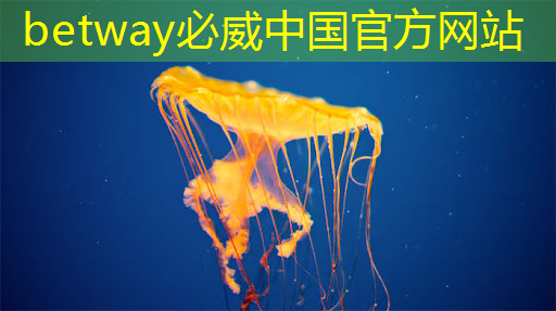 betway必威西漢姆聯(lián)官網(wǎng):主控芯片中的電源管理技術(shù),解析主控芯片中的電源管理策略! betway必威西漢姆聯(lián)官網(wǎng):主控芯片中的電源管理技術(shù),解析主控芯片中的電源管理策略!