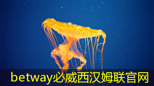 工業(yè)互聯(lián)網(wǎng)硬件品牌有哪些 工業(yè)互聯(lián)網(wǎng)硬件品牌有哪些