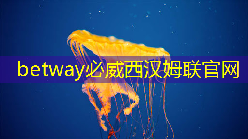 使用什么掌上游戲機(jī)芯片才能暢玩3D游戲? 使用什么掌上游戲機(jī)芯片才能暢玩3D游戲?