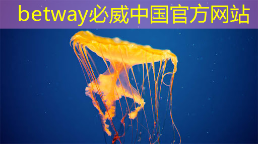 提升居民體驗(yàn),智能商顯引領(lǐng)智慧社區(qū)發(fā)展! 提升居民體驗(yàn),智能商顯引領(lǐng)智慧社區(qū)發(fā)展!