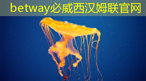 智慧商顯設(shè)備助力企業(yè)充分展示品牌魅力 智慧商顯設(shè)備助力企業(yè)充分展示品牌魅力